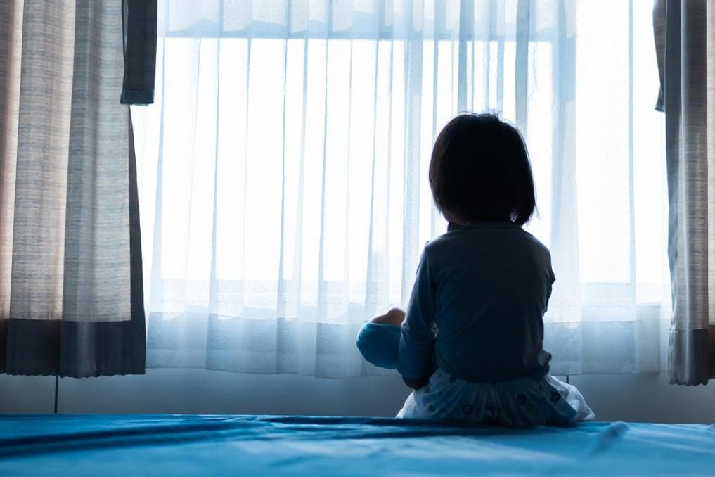 Human rights groups urge Brazilian Supreme Court to ban gender ideology experiments on children