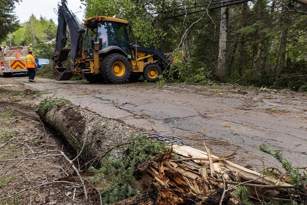 St. Padre Pio-inspired relief campaign supports Texas flood recovery