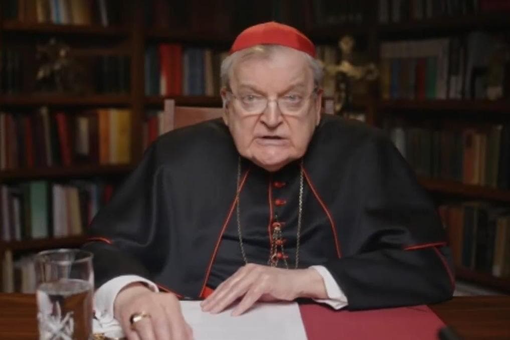 Cardinal Burke asks Pope Leo to act on behalf of Traditional Latin Mass faithful