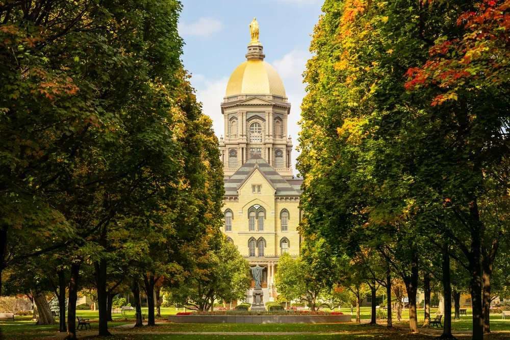 Illinois bishop joins Bishop Rhoades in denouncing Notre Dame’s ‘scandalous’ appointment