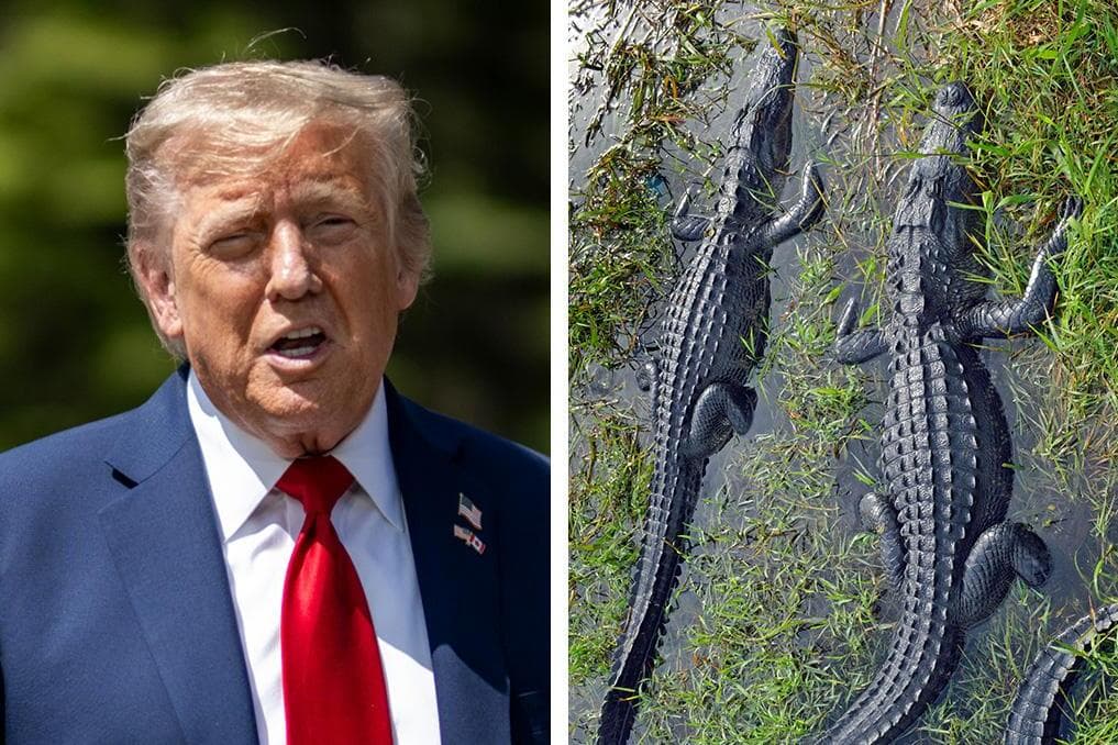 Trump to visit 'Alligator Alcatraz' detention facility in Florida on opening day