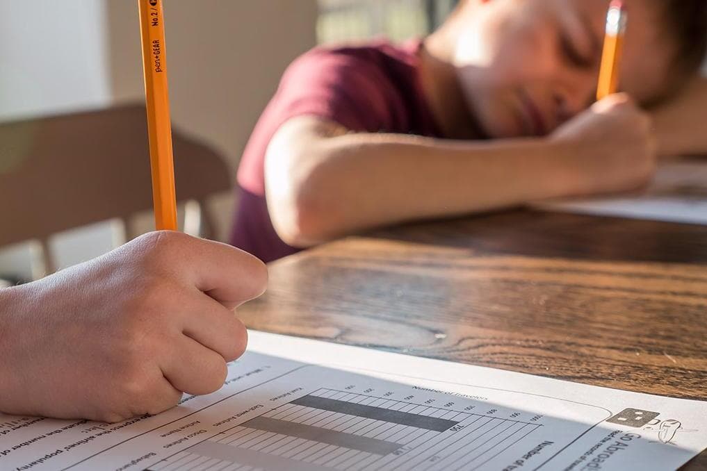 Court refuses Brazilian mother’s ability to homeschool son, compels school enrollment