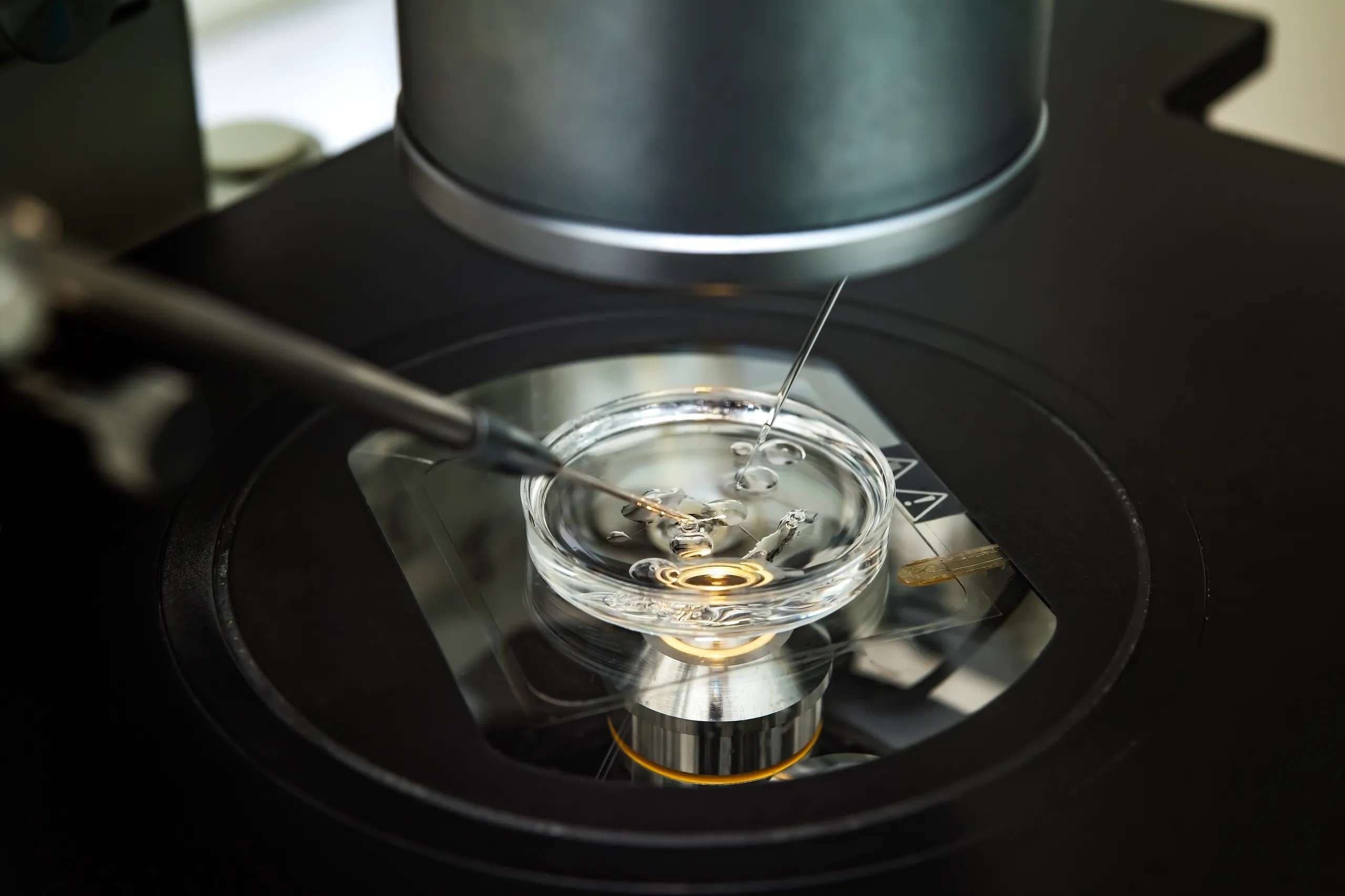 Pro-life org sues over Utah IVF practices, alleging wrongful death