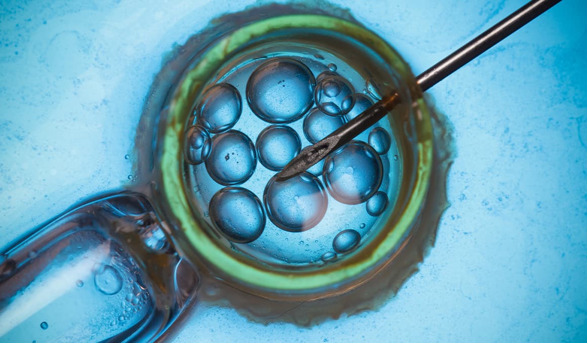 Trump unveils IVF expansion plan, sparking criticism and ethical concerns among pro-life leaders