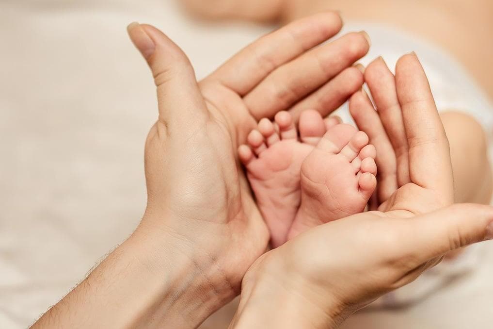 US bishops recognize 4 Catholics for lifelong defense of human life