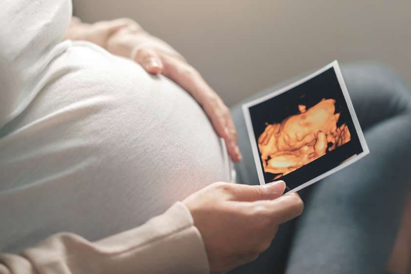 Michigan Catholic Conference hails state budget for supporting pregnant mothers and infants