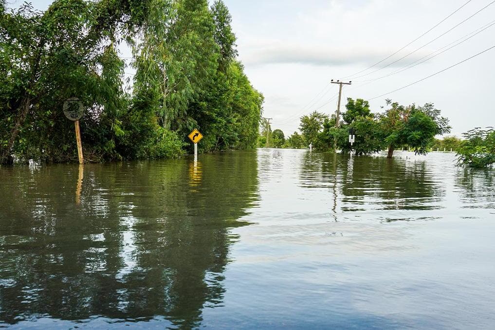 Louisiana Catholics rally to aid Texas flood victims with one-day donation drive