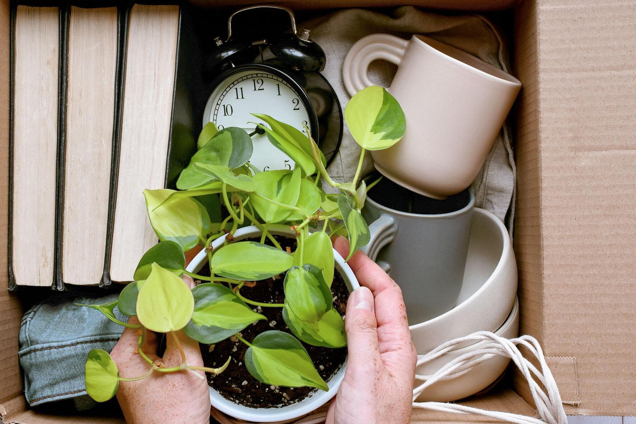 Declutter your life: Practical tips for the busy person