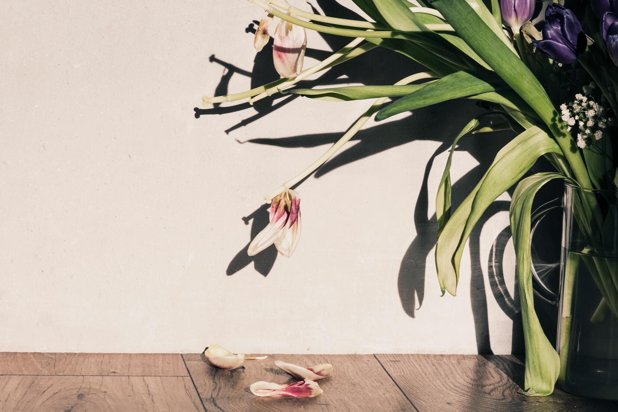From shame to integrity: Rethinking purity culture's impact