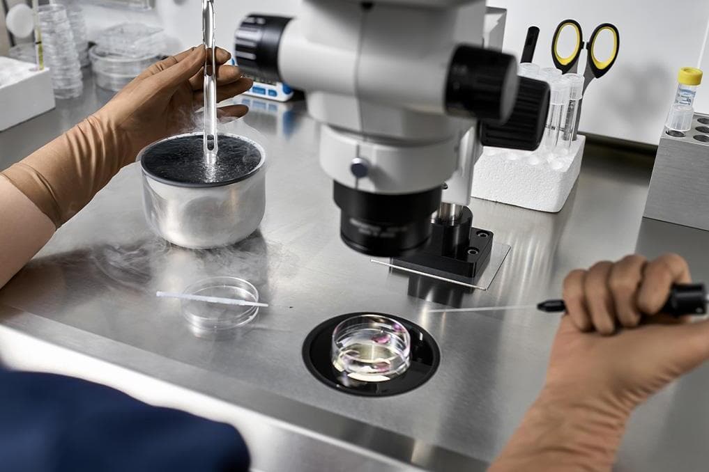 Appeals court allows Jewish woman’s IVF-related lawsuit against Kentucky to continue