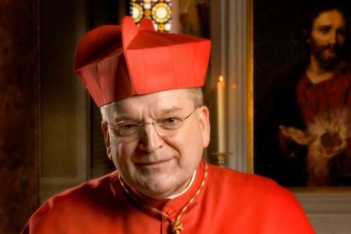 Cardinal Burke praises Pope Leo's convening of cardinals, addresses challenges of meeting structure