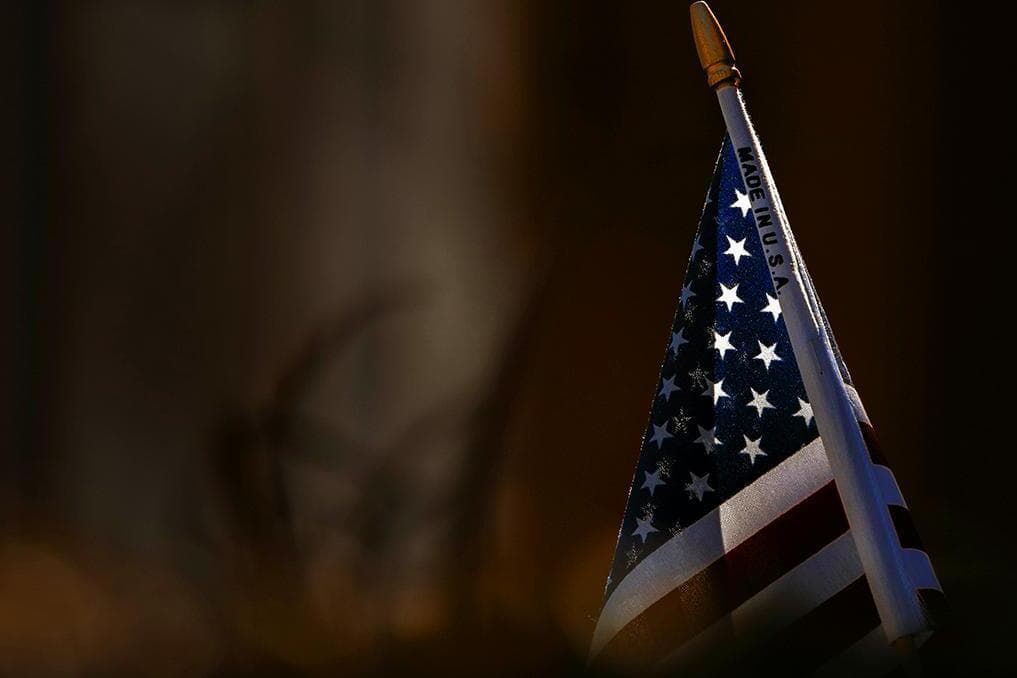 Gallup: Democrats’ confidence in US institutions hits record low