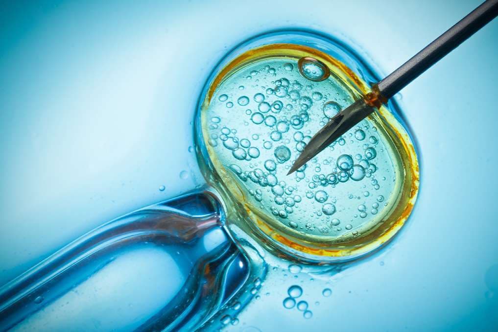 An infertile Catholic mom pleads for an end to IVF