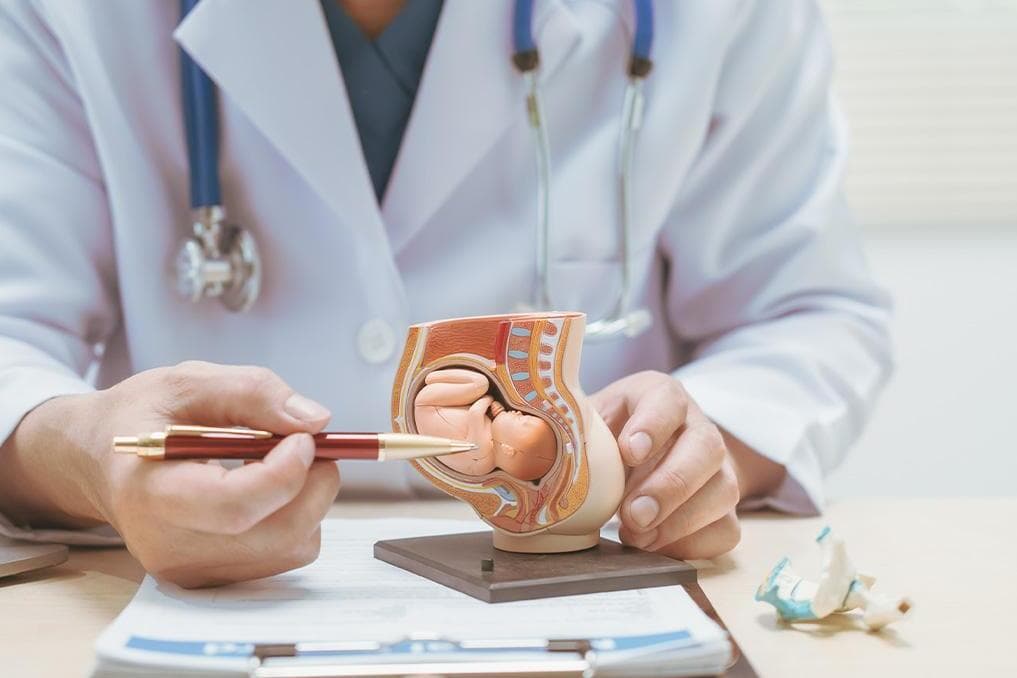 Pro-life leader says teaching kids prenatal biology is the future of the movement