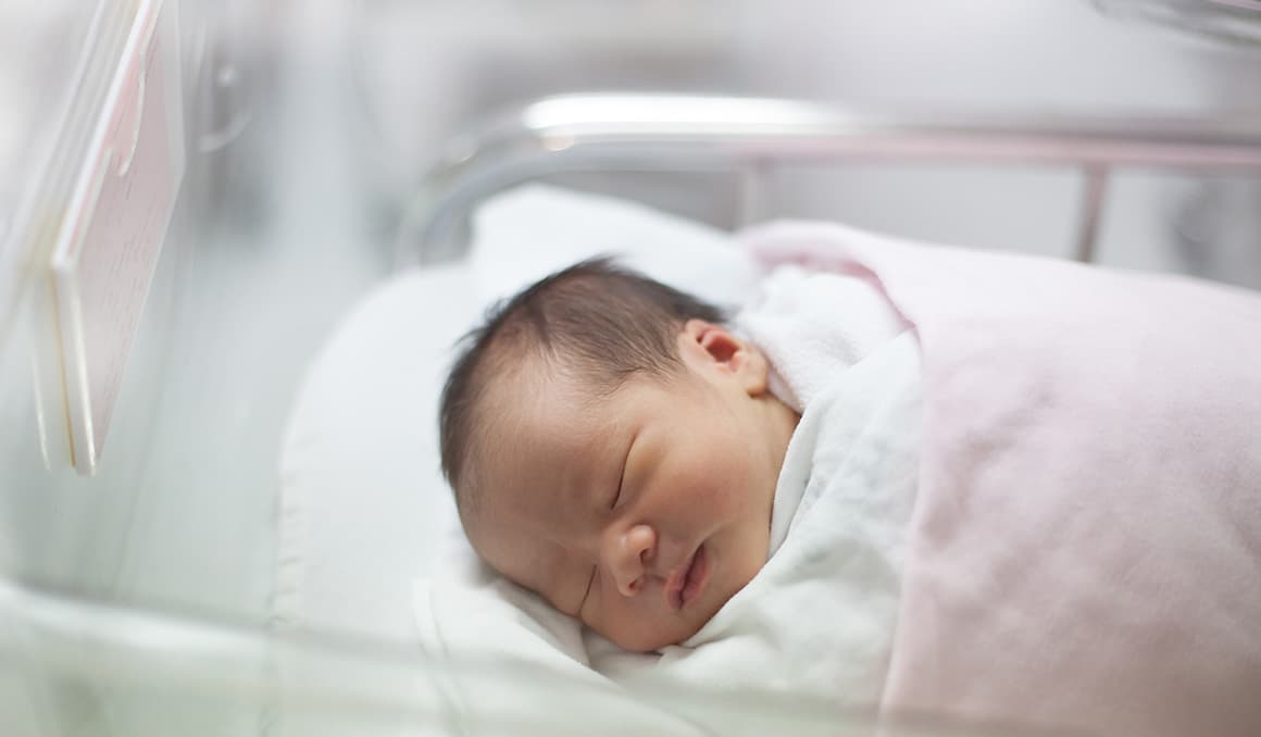 CV exclusive: NaProEthics director explains how pro-life fertility treatment works better than IVF