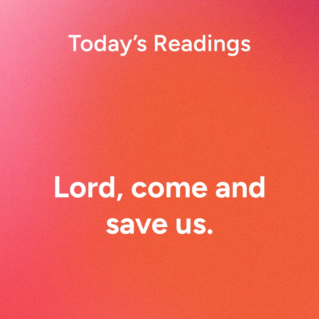Sunday, December 14