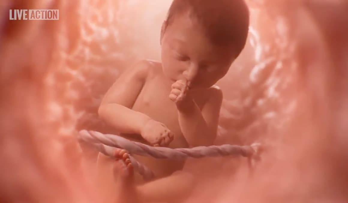 Kansas becomes the fourth state to mandate prenatal development education in schools