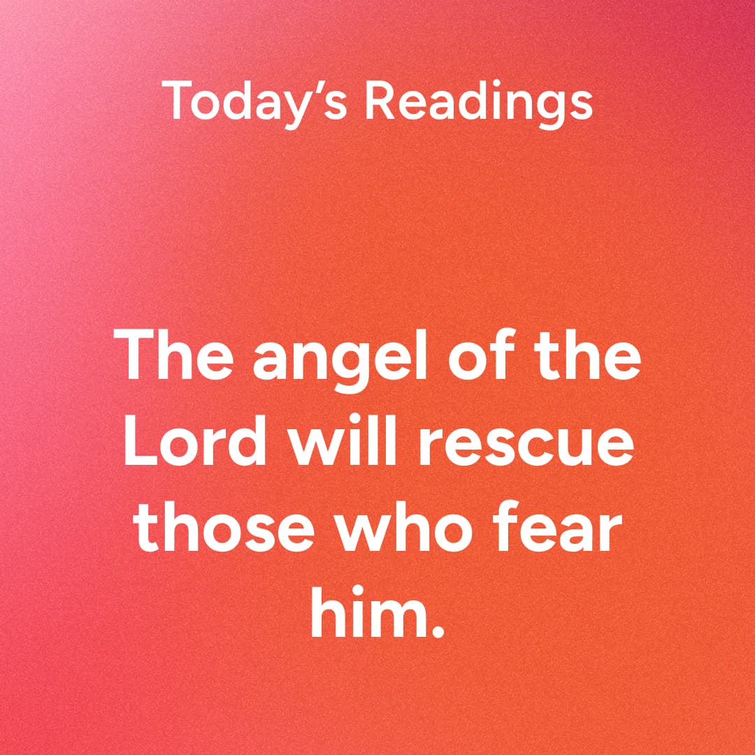 Monday, June 29