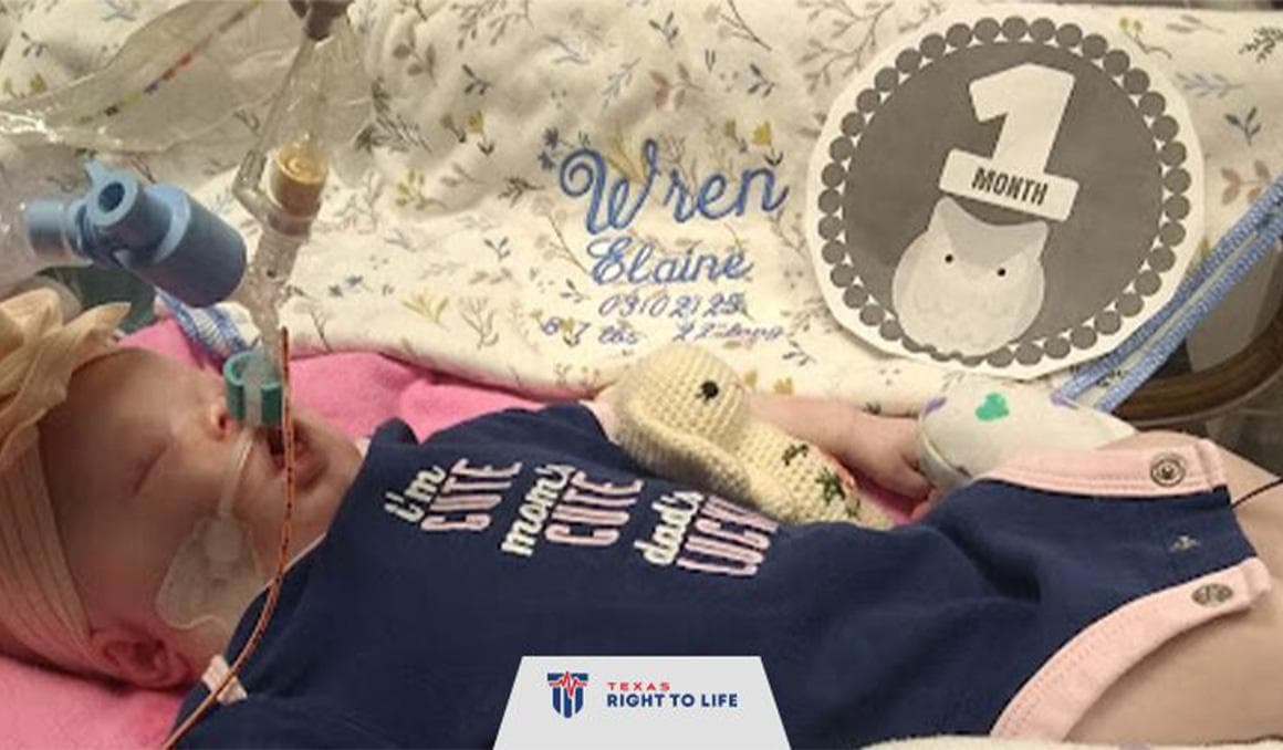 Baby Wren dies on Good Friday, apparently unrelated to impending life support removal