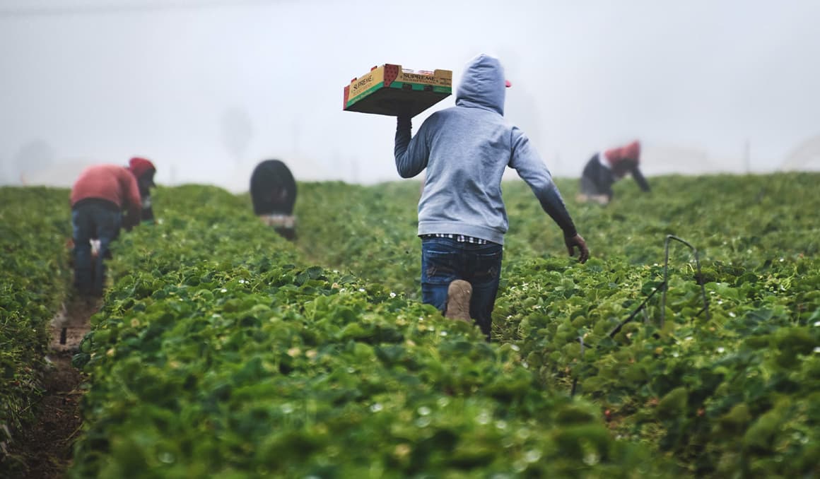 New data: Vast majority of job growth since 2020 went to immigrants