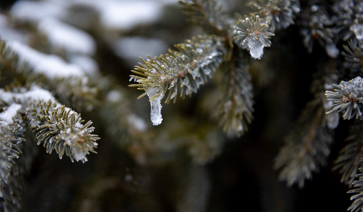 Northern Michigan still grappling with widespread power outages after ice storms