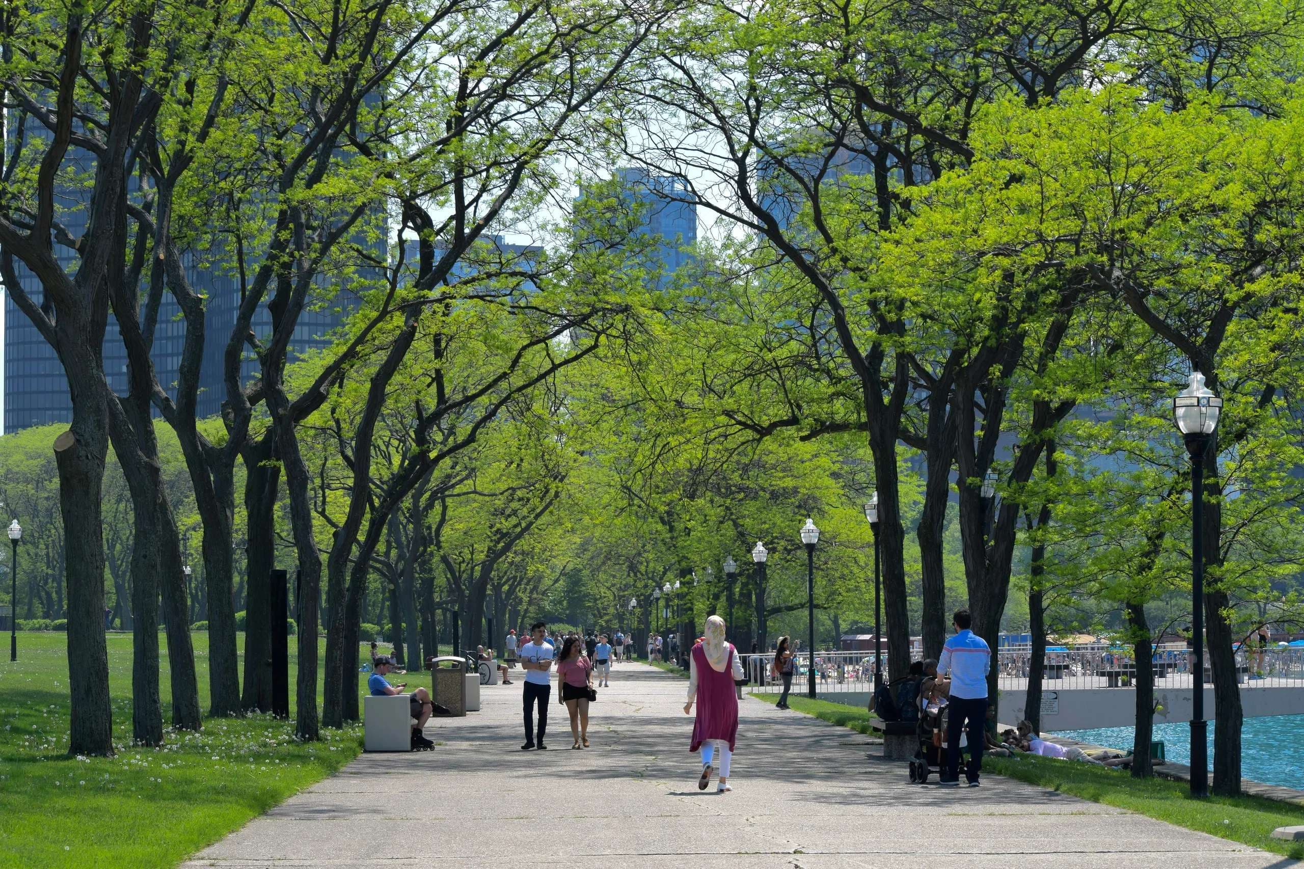 Man charged with hate crime after burning cross in Chicago park
